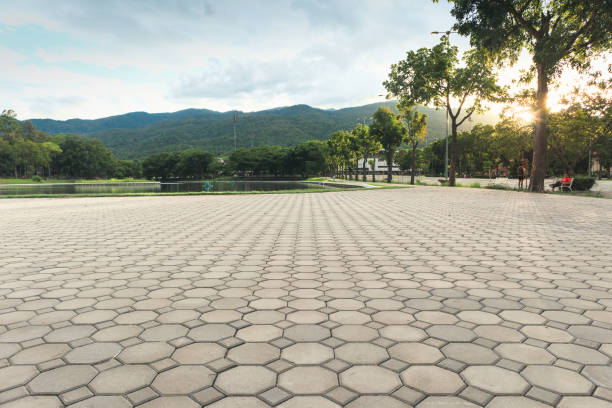 Best Interlocking Driveway Pavers  in Pembroke, VA